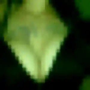 Photo de Valentine à Saint-Julien-de-Concelles (41 ans) - plan cul anonyme