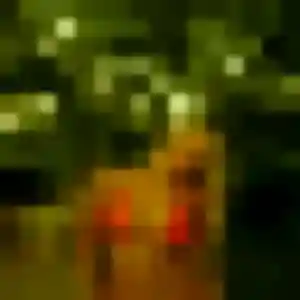 Photo perso de Irene, 34 ans à Saint-Laurent-du-Maroni - plan discret
