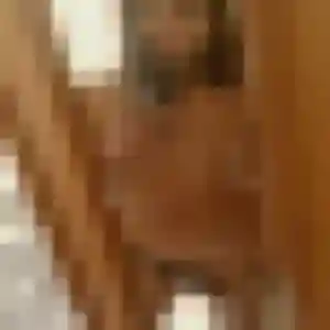 Photo de Apolline à Saint-Martin-la-Pallu (42 ans) - plan cul anonyme