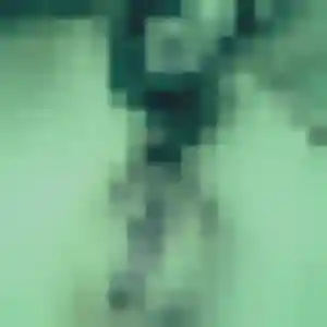 Daphne de Saint-Nazaire, 39 ans - plan cul discret