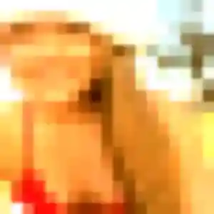 Photo perso de Verane, 24 ans à Saint-Pierre-du-Perray - rencontre coquine