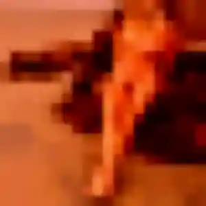 Jocelyne, 28 ans, dispo pour plan cul à Saint-Rémy-lès-Chevreuse