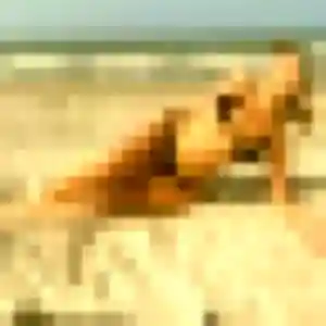 Profil de Idalina à Sainte-Maxime (38 ans) - plan cul anonyme