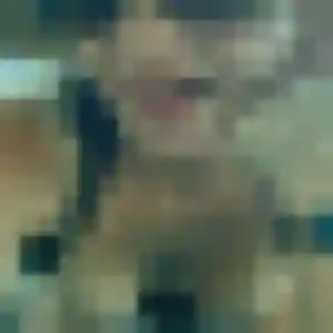 Photo exclusive de Eva, 40 ans à Salon-de-Provence - rencontre coquine