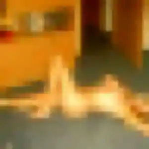 Photo sexy de Solene, 29 ans à Sarcelles - rencontre coquine