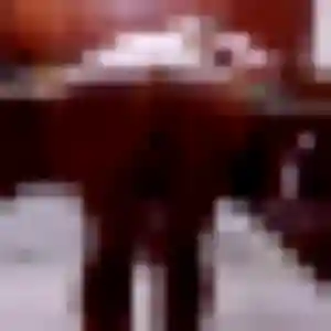 Charmante Leila, 32 ans à Thann - découvrir son profil