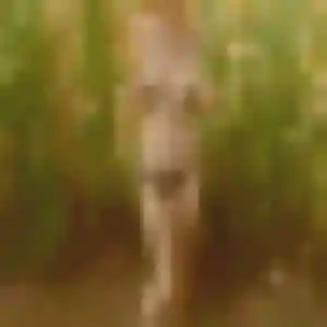 Profil de Nelly à Tournus (35 ans) - plan cul discret
