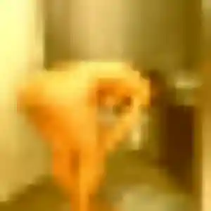 Iris, femme de 29 ans cherche plan cul à Trets