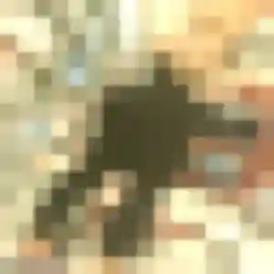 Profil de Delphine à Villebon-sur-Yvette (33 ans) - plan cul gratuit