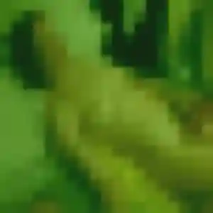 Photo de Jennifer à Villefranche-de-Rouergue (41 ans) - plan cul discret