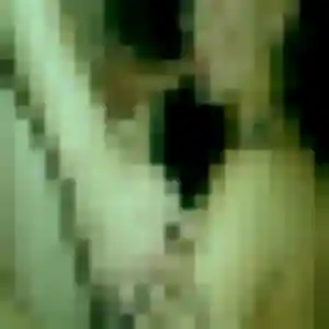 Photo de Blandine à Villepinte (38 ans) - plan cul anonyme