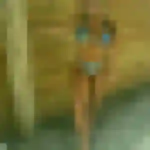 Profil de Marie-Ange à Villerest (43 ans) - plan cul sans inscription