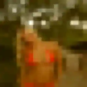 Photo exclusive de Flavia, 22 ans à Viroflay - plan discret