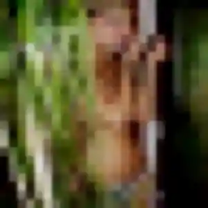 Photo sexy de Doriane, 31 ans à Vitré - rencontre sans lendemain