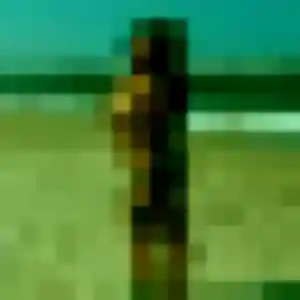 Belle Valentina, 35 ans à Wambrechies - la contacter